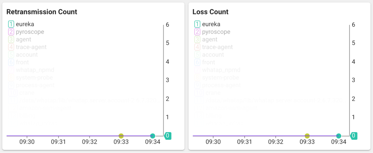 Packet retransmission and loss metrics