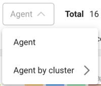 Agent by each cluster