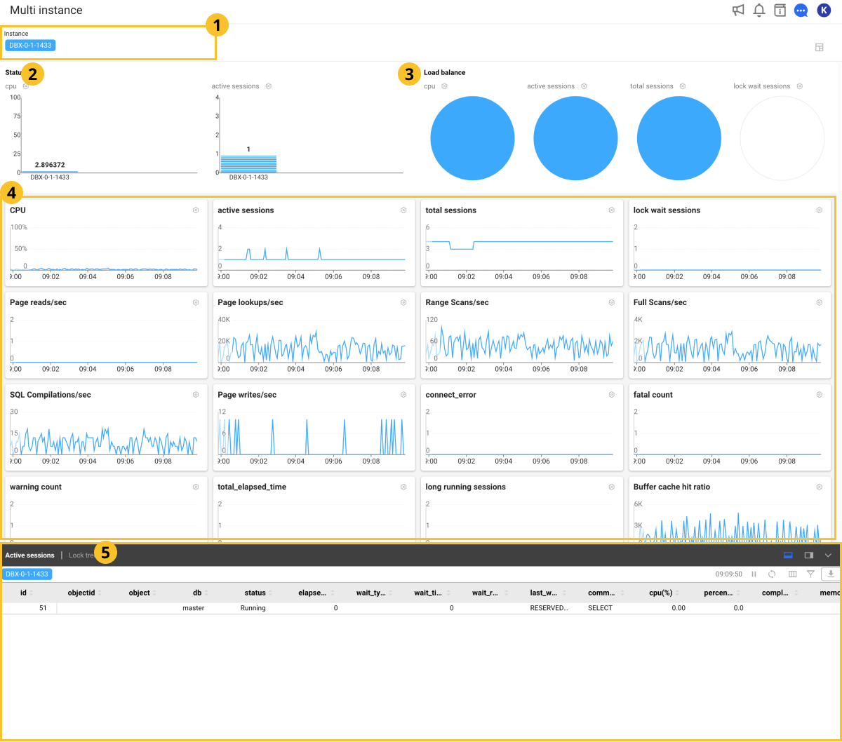 Multi-instance Monitoring