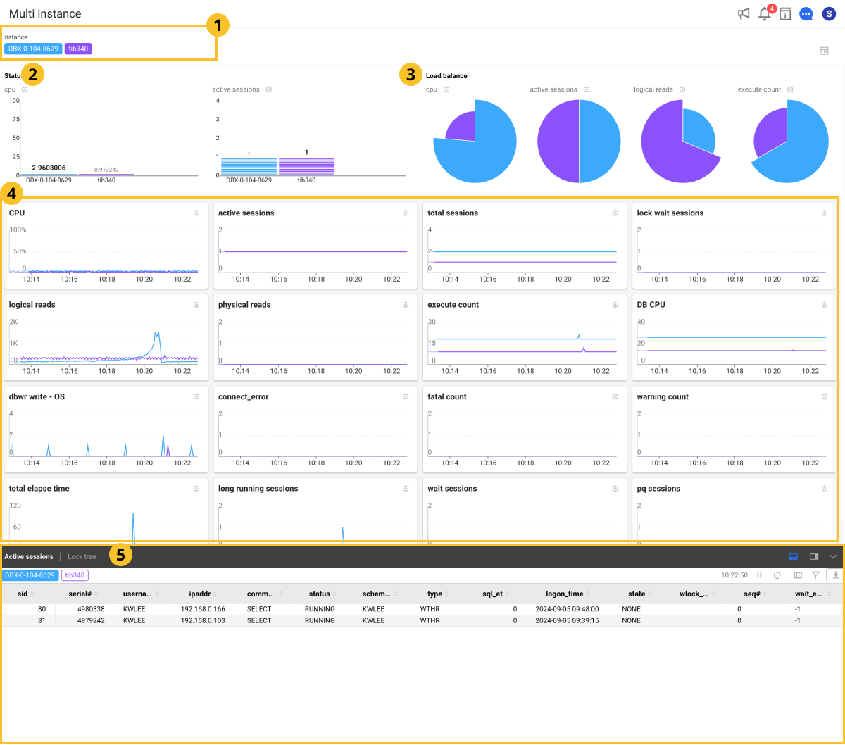 Multi-instance Monitoring