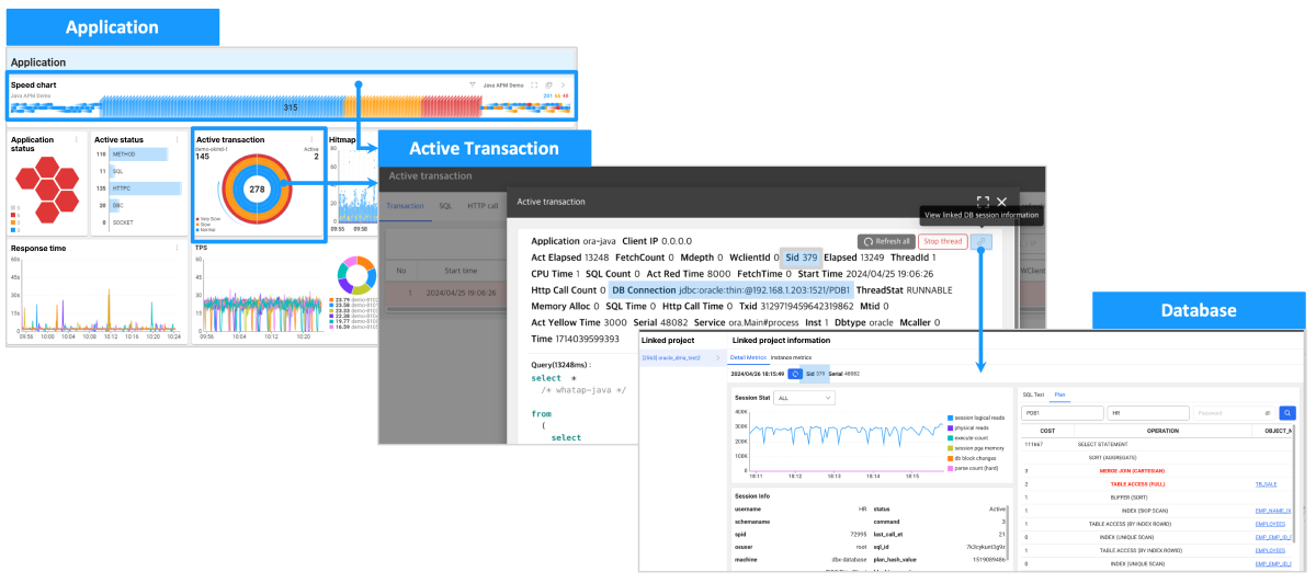 Application - Database